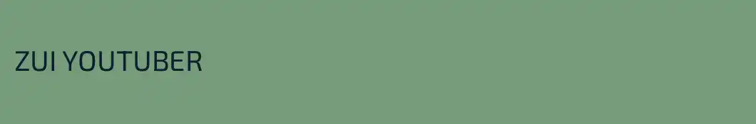 ZUI YOUTUBER